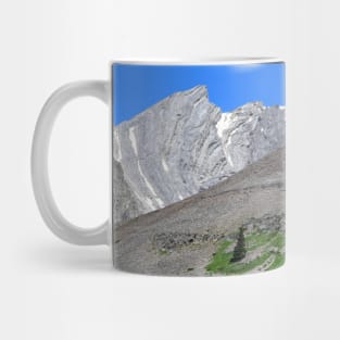 Summer Mountain Scene. Mug